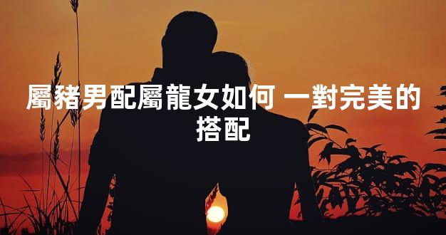 屬豬男配屬龍女如何 一對完美的搭配